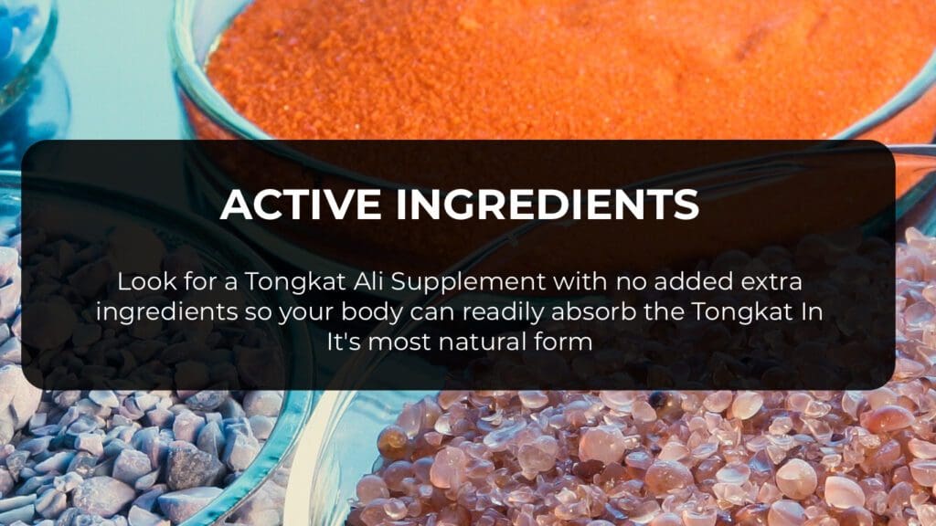 Tongkat Ali Extract Suplements - Active Ingredients