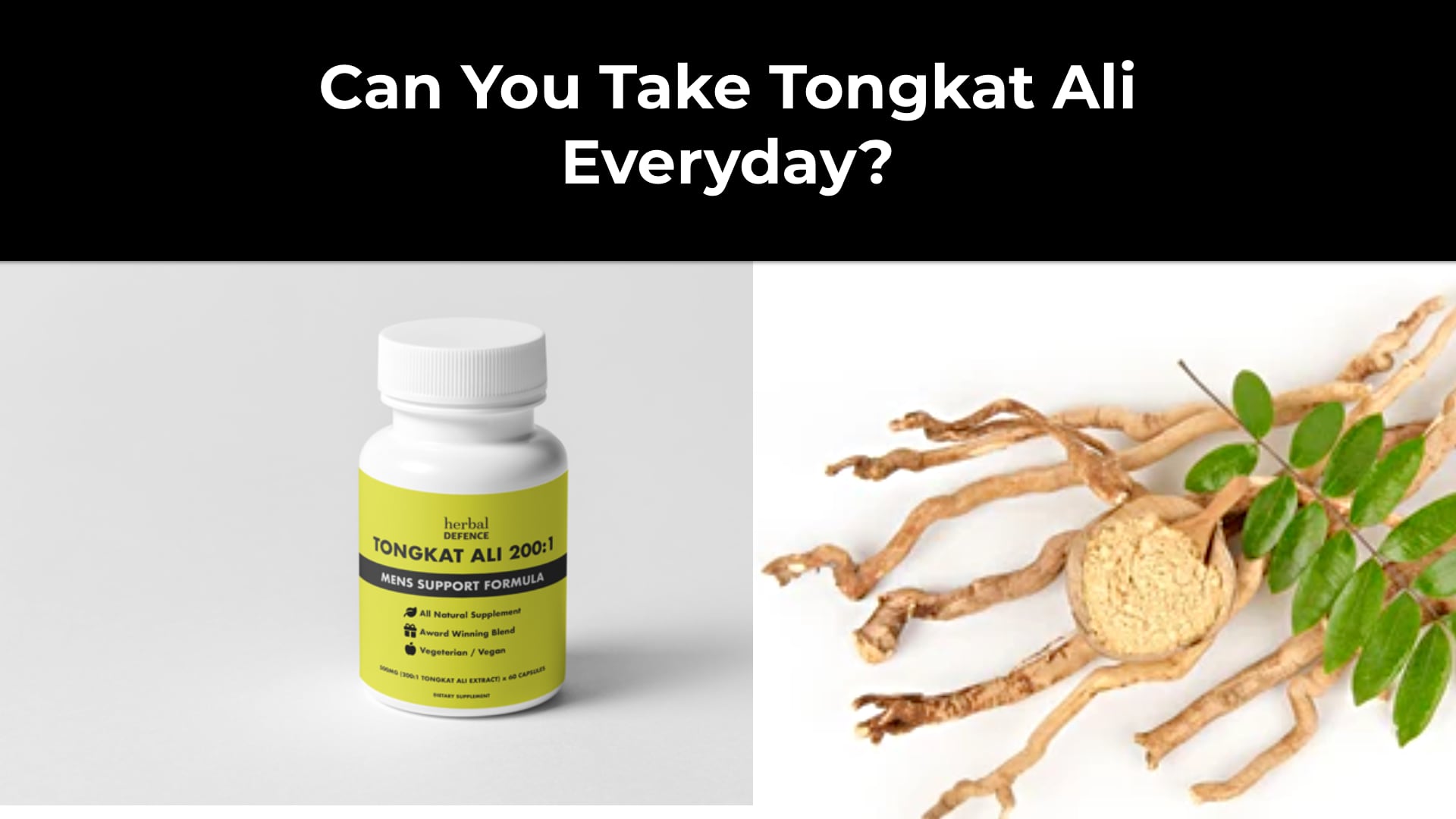Can You Take Tongkat Ali Everyday? Tongkat Ali