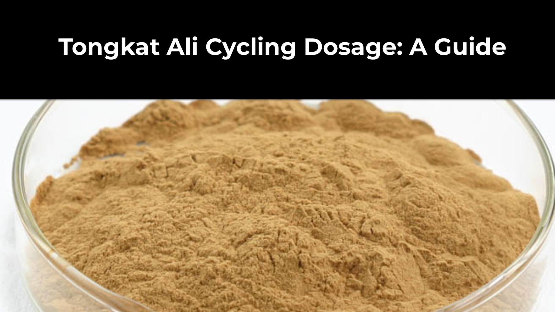 Tongkat Ali Cycling Dosage A Guide Tongkat Ali Australia