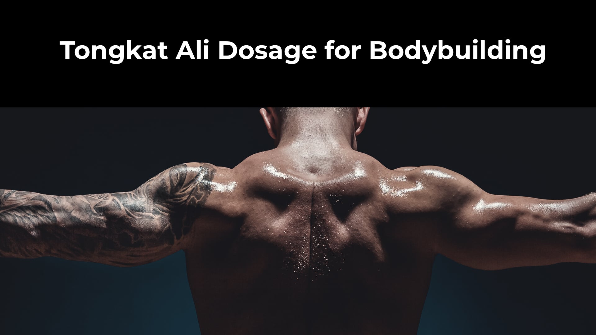 Tongkat Ali Dosage for Bodybuilding Tongkat Ali Australia