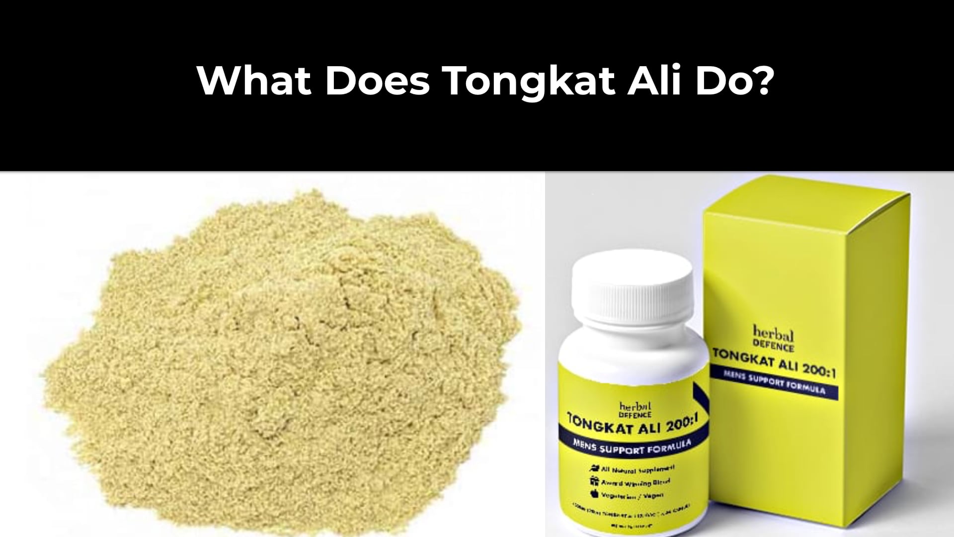 tongkat ex5
