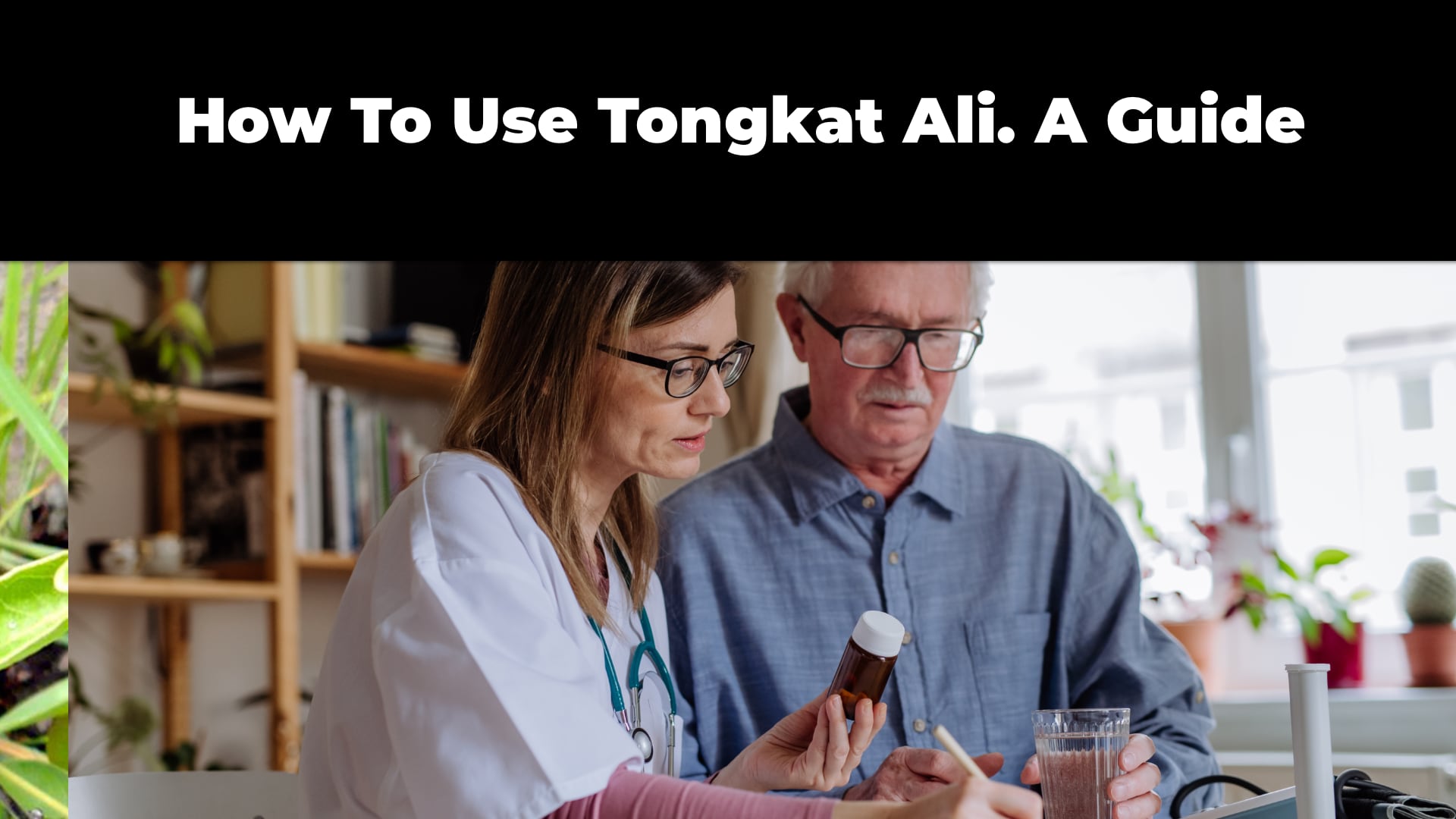 How To Use Tongkat Ali A Guide Tongkat Ali Australia