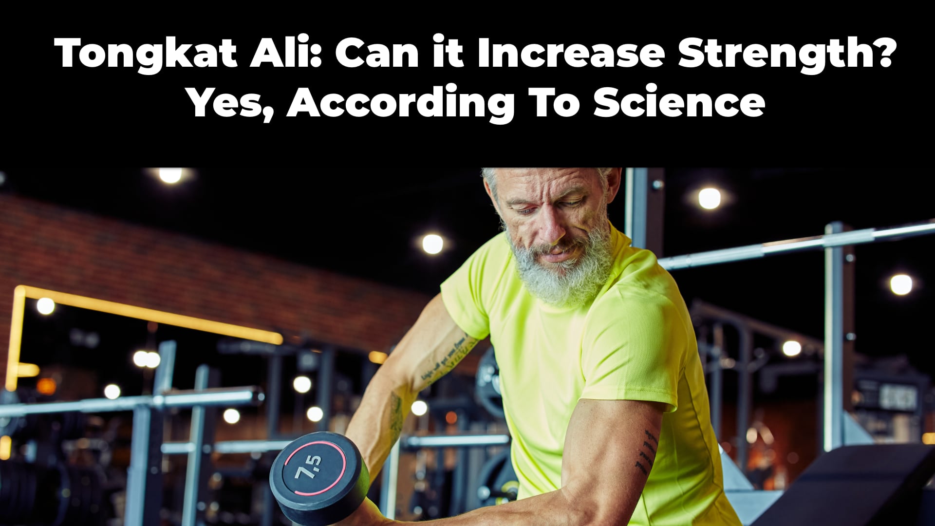 Can Tongkat Ali Increase Strength? Yes, According to Scientific